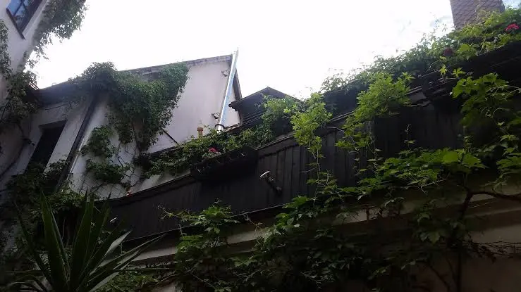 Hotel & Restaurant „Weißes Roß“ restaurant in Elsterwerda