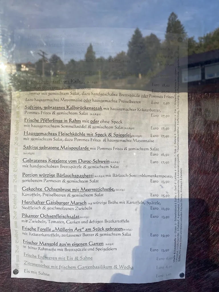 Menu_Gasthof zum Bad_Freudenstadt_image_4