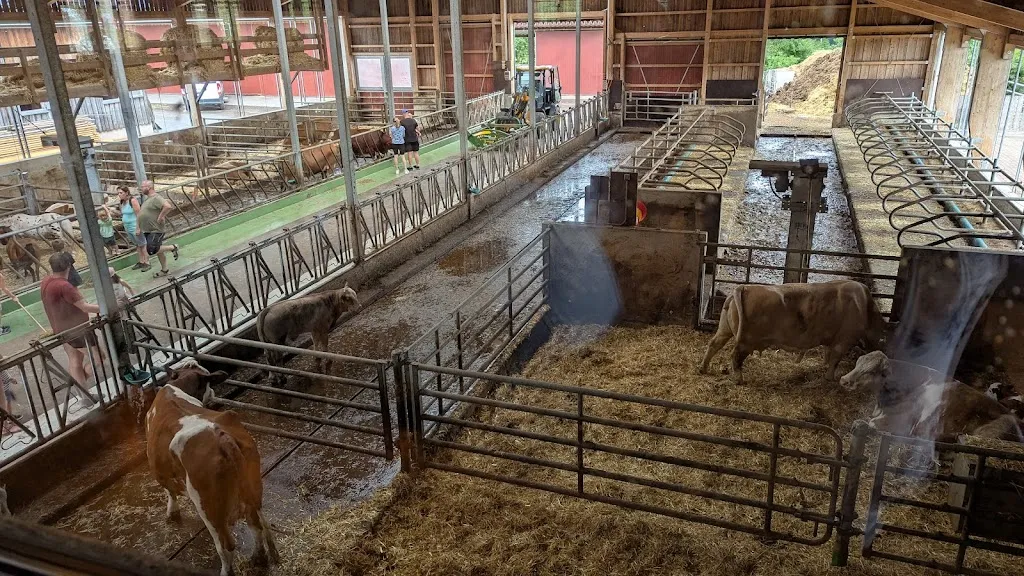 Kuhstall Erlebnisgastronomie_Pfalzgrafenweiler_slider_image_2