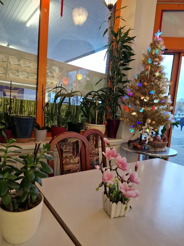 Orchidea Asia Küche_Eisenhüttenstadt_slider_image_3