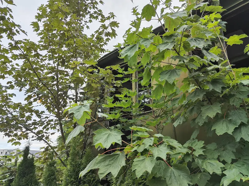 David Nørgaard_Alter Fehrbelliner Bahnhof_Fehrbellin_review