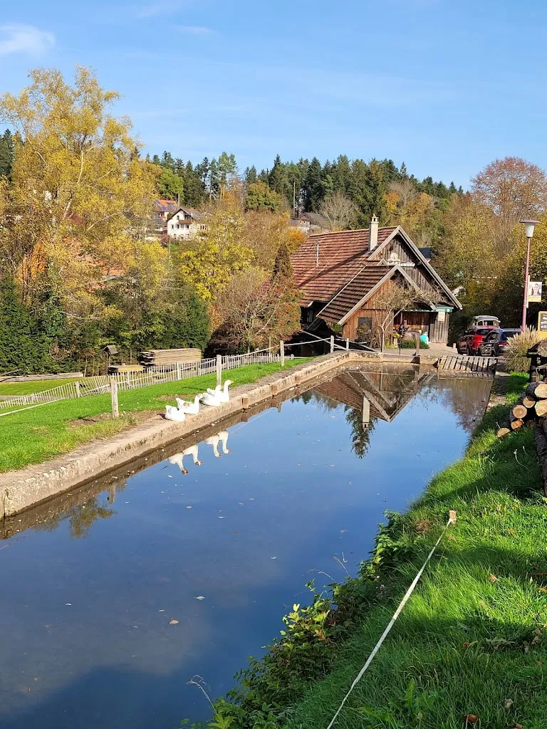 WWS Alby_Mönchhof-Sägemühle_Waldachtal_review