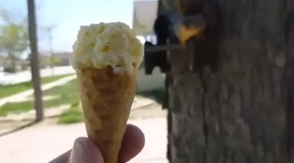 Ice Alex, Restaurant, Cafe & Catering_Golzow_slider_image_2