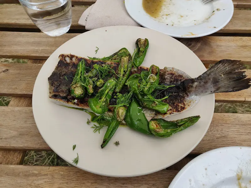 Test 123457_Parg_Gerswalde_review