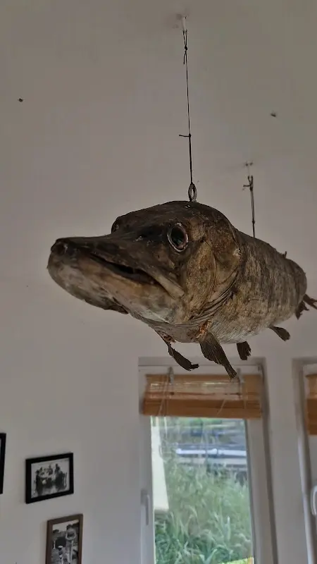 Restaurantschiff Kombüse Klabautermann_Köris_slider_image_2