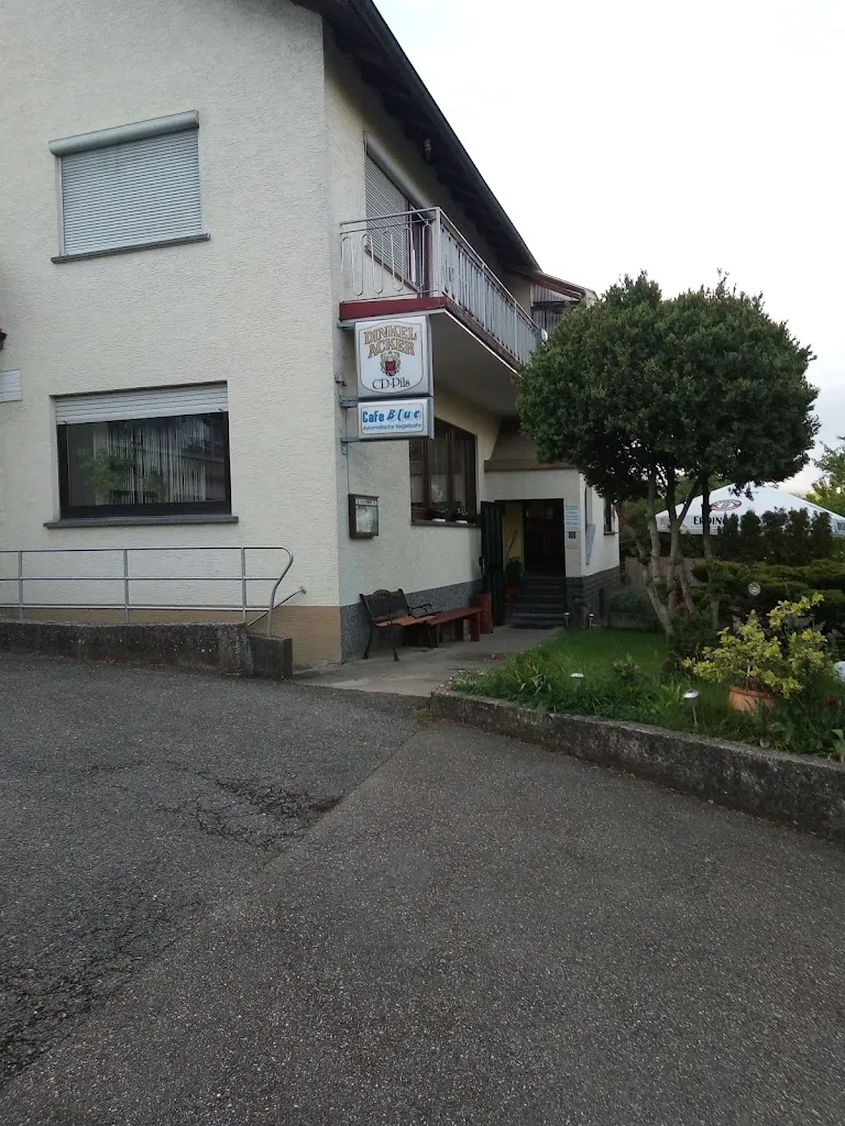 Sandra Rieser_Café Blue_Billigheim_recensione