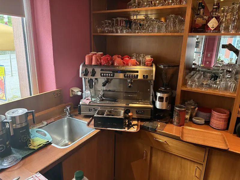 Werner Schoenfeldinger_Kaffeehaus Fürstenberg Nancy Tesch_Fürstenberg/Havel_review