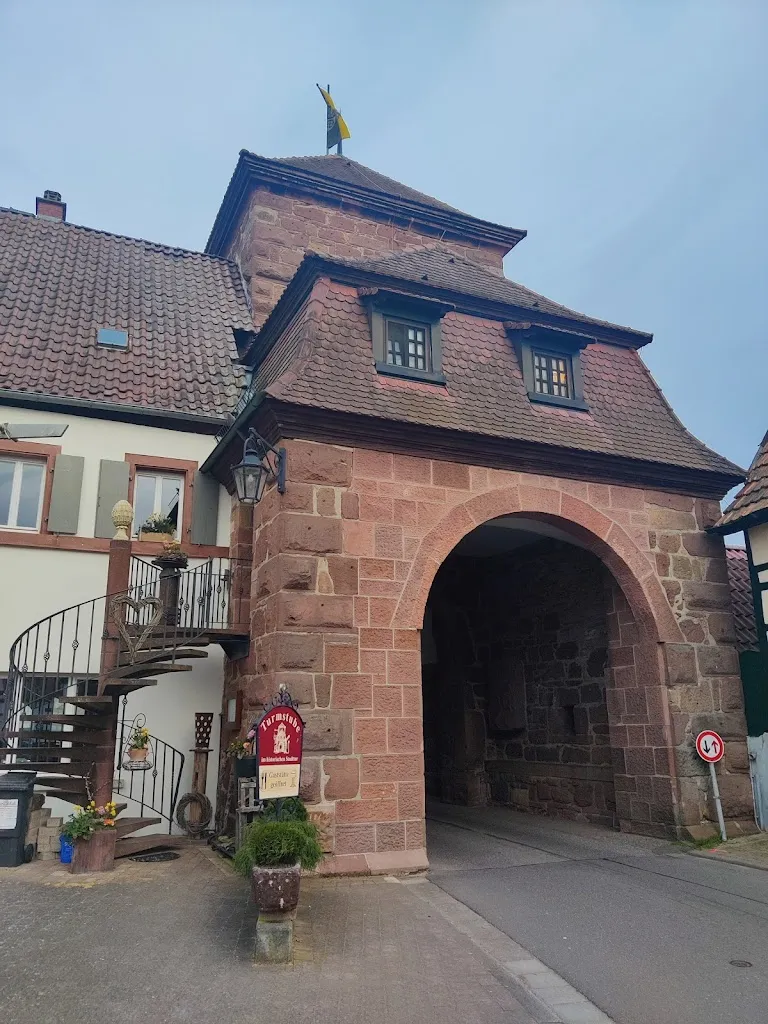 Rana_Turmstube (im Oberen Tor)_Billigheim-Ingenheim_recensione