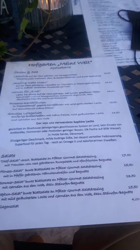Menu_Weiß & Wellauer GmbH_Billigheim-Ingenheim_immagine_2