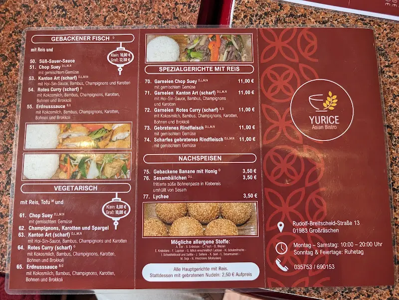 Menu_YURICE Asian Bistro_Großräschen_immagine_2