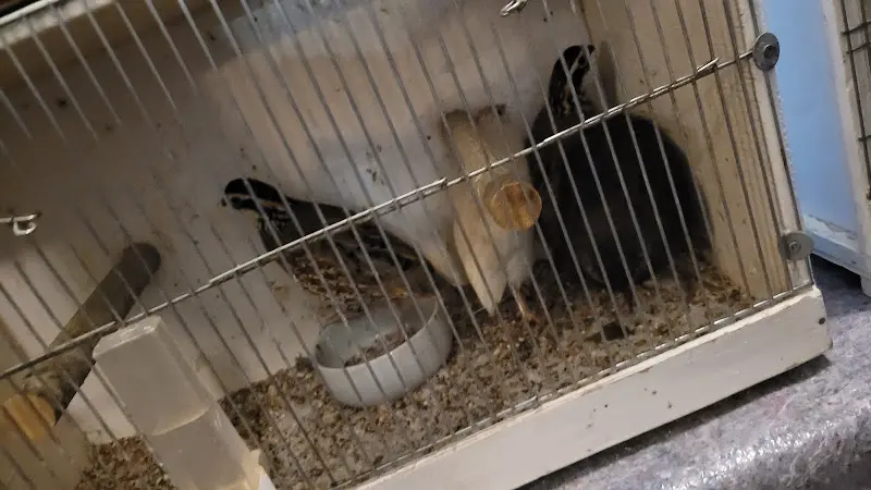 Tina Hieke_Gropp Christoph_Großräschen_review