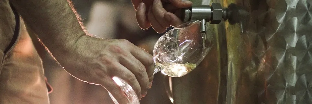 Weinhaus Schneiderfritz_Billigheim-Ingenheim_slider_image_2