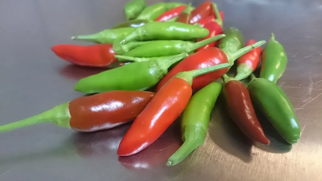 Menu_Pizza & Pinsa - Casa Mia Achern_Achern_image_7