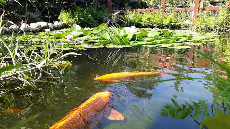 Imbiss Möglin_Lehnin_slider_image_3