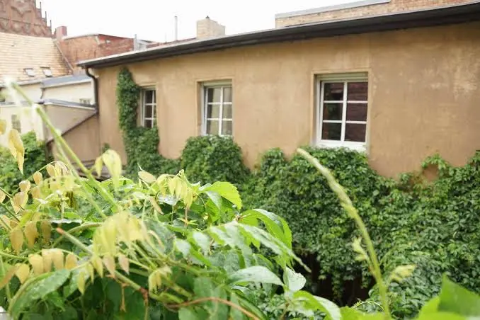 Zum Goldenen Stern restaurant in Jüterbog