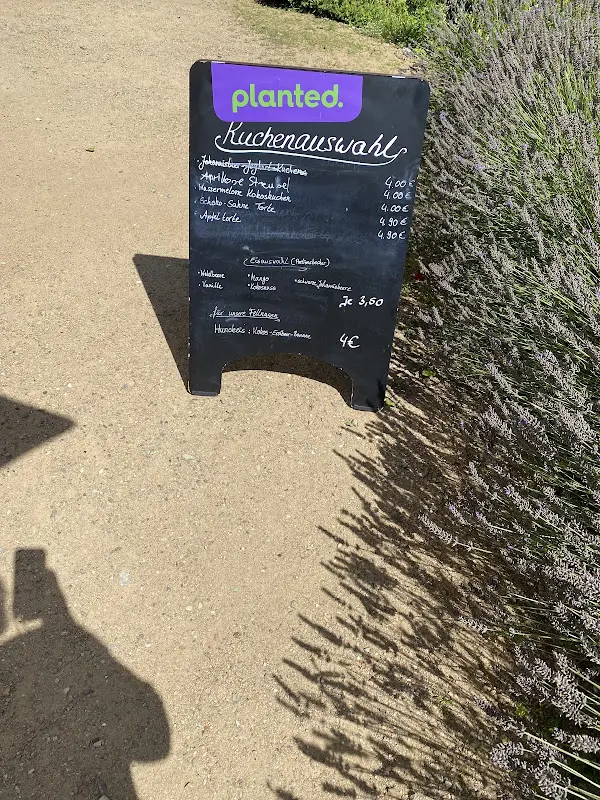 Menu_place to V_(Elbe)_image_1