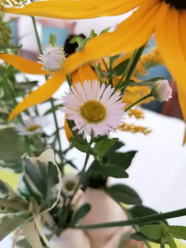 Prifil 9_Restaurant Gaststätte Märkischer Hof_Kyritz_review