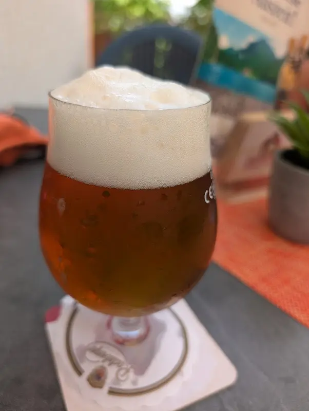 Ramona Neubauer_Zum Wasserfreund - Lutz Bombis_Wusterhausen_review