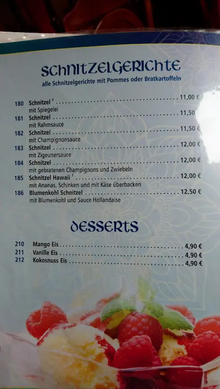 Menu_Mr. Singh Restaurant_Wusterhausen_immagine_3