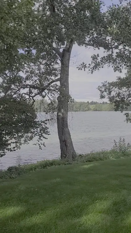 Seehotel Lindenhof - Monique Tomacka_Lychen_slider_image_2