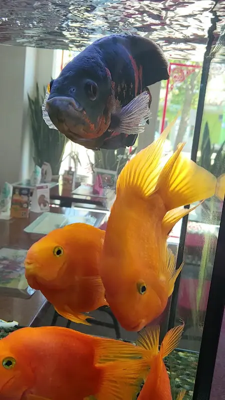 Grüner Bambus_Lübbenau/Spreewald_slider_image_2