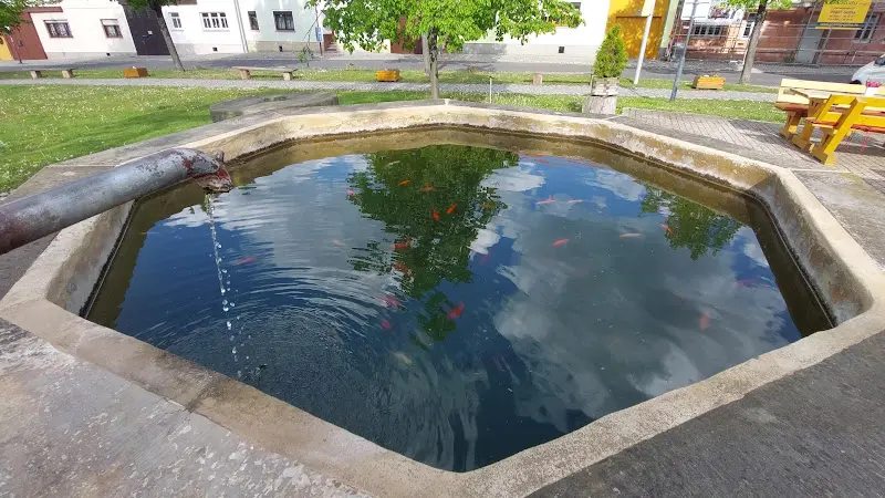 Ratskeller_Gleichen_slider_image_2