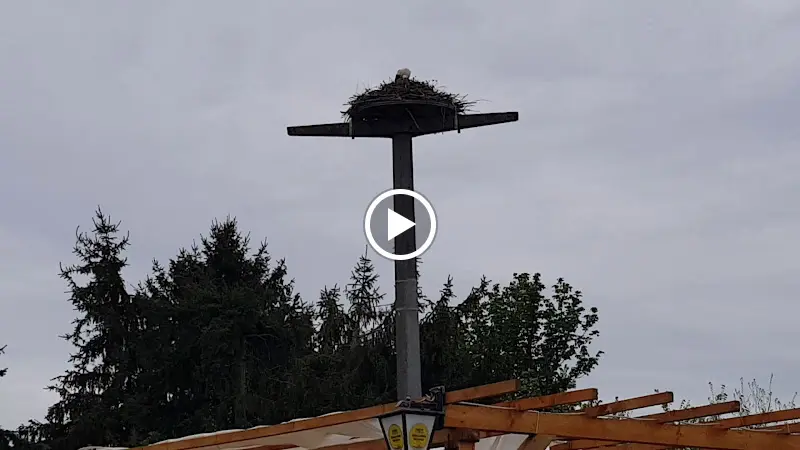 Bistrorante zum Storchennest_Müncheberg_slider_image_2