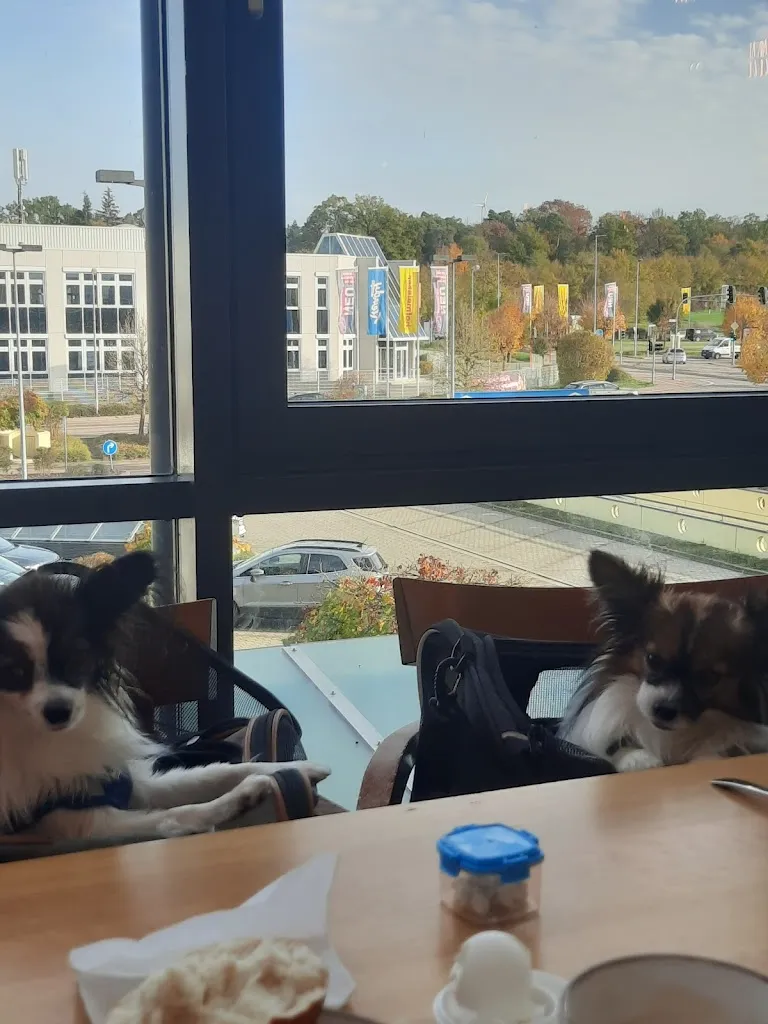 Mady Schaich_Restaurant Ambiente - Hofmeister Bietigheim_Bietigheim-Bissingen_review