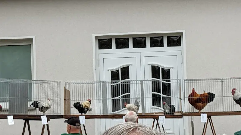 Schülers Gasthaus restaurant in Plessa