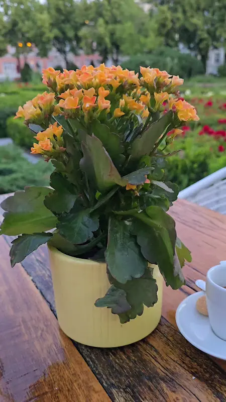 Restaurant Grand Italia Fürstenwalde_Fürstenwalde/Spree_slider_image_2