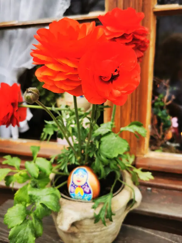 D M_Restaurant Alexandrowka1_Potsdam_review