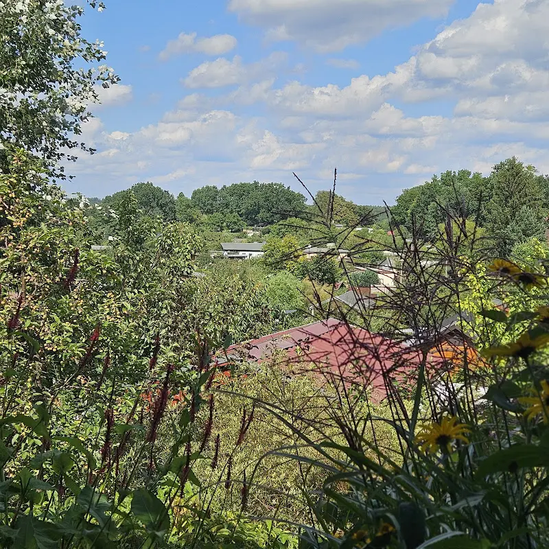 Christakis Psyllides_Kades Restaurant 