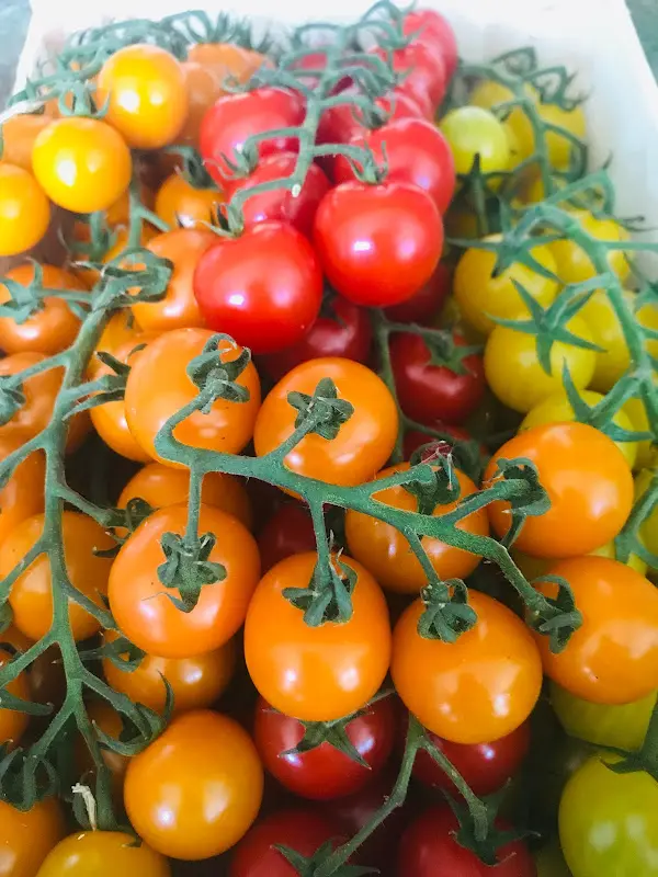 Bill's Kitchen_Potsdam_slider_image_2