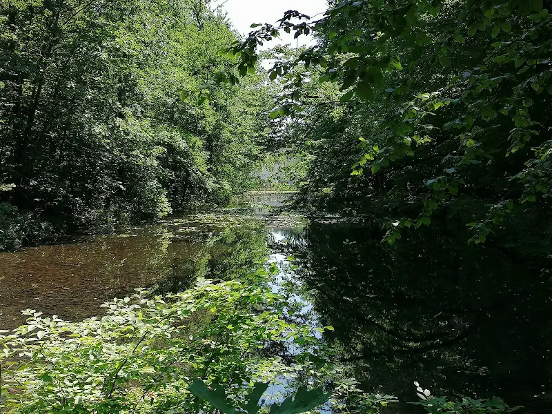 Harald Pinkwart_Schloss Sallgast_Sallgast_review