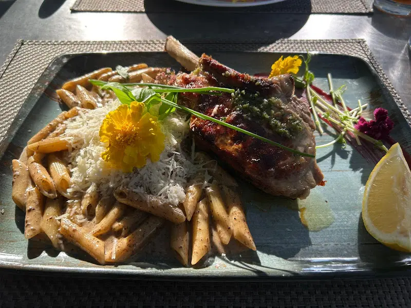 Andy Damm_Il-Massimo_Schipkau_review