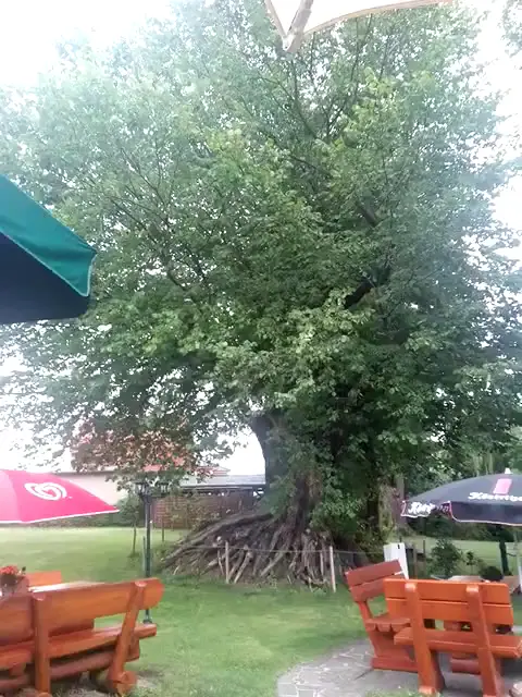 Eddys am Kanal_Rietz_slider_image_2