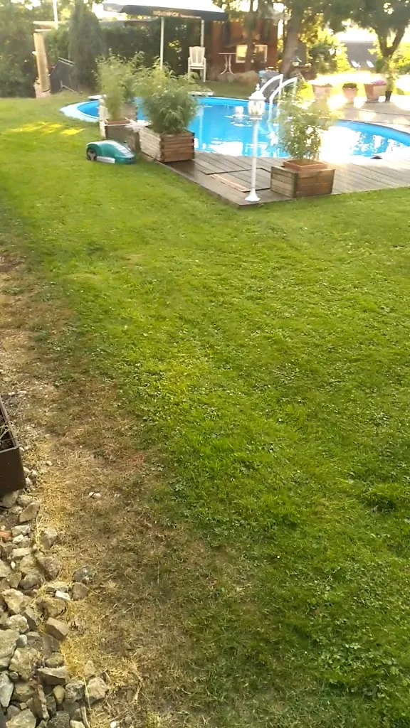 Gästehaus Schweizerhof restaurant in Rems