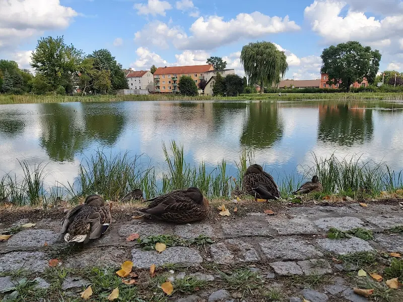 Oscar Euroscar_Land.Gut Berlinchen_Wittstock/Dosse_review