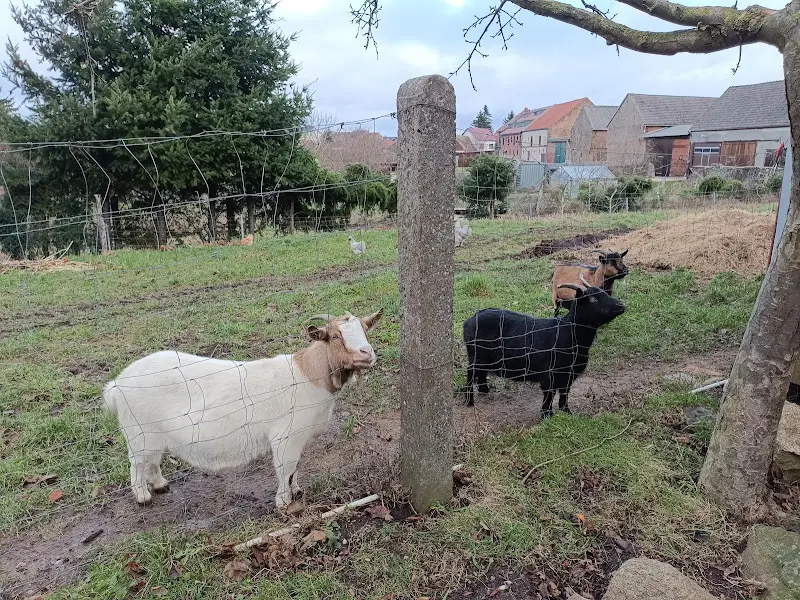 Pension u. Gaststätte Hirschhof_Wittstock/Dosse_slider_image_3