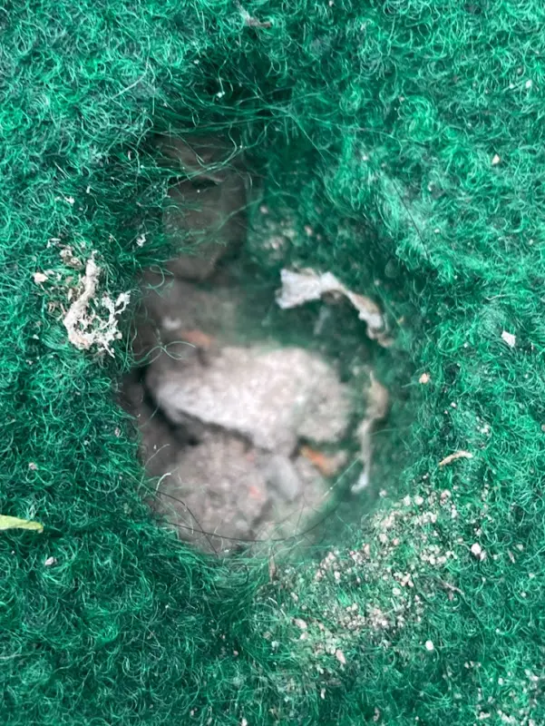 sophia peters_Grillorient_Wittenberge_review