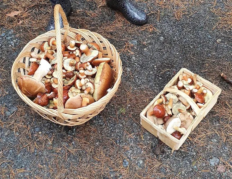 Zum Hexenstübl - Carsten Voltz_Zossen_slider_image_2