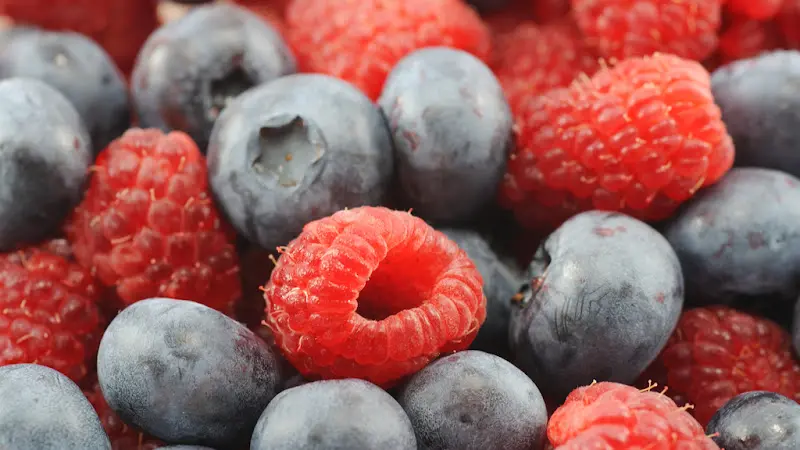 Restaurant PIER 6_Bremerhaven_slider_image_3