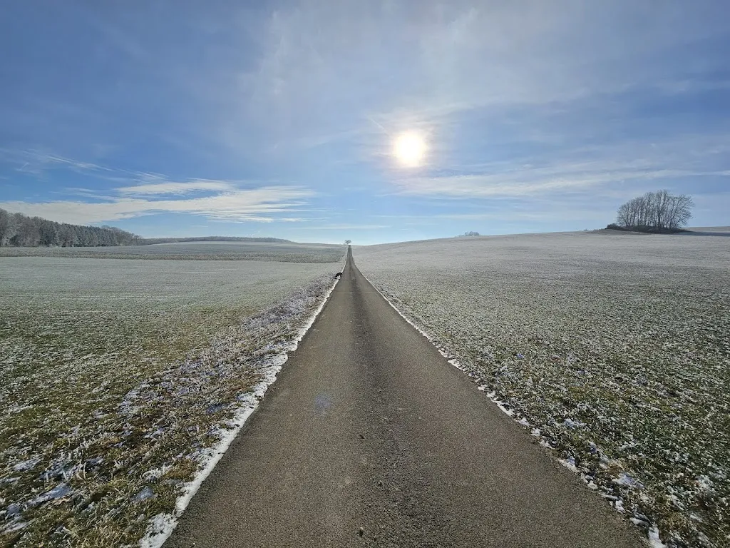 Dr. Winfried Niederer_Hirsch_Böhmenkirch_Bewertung