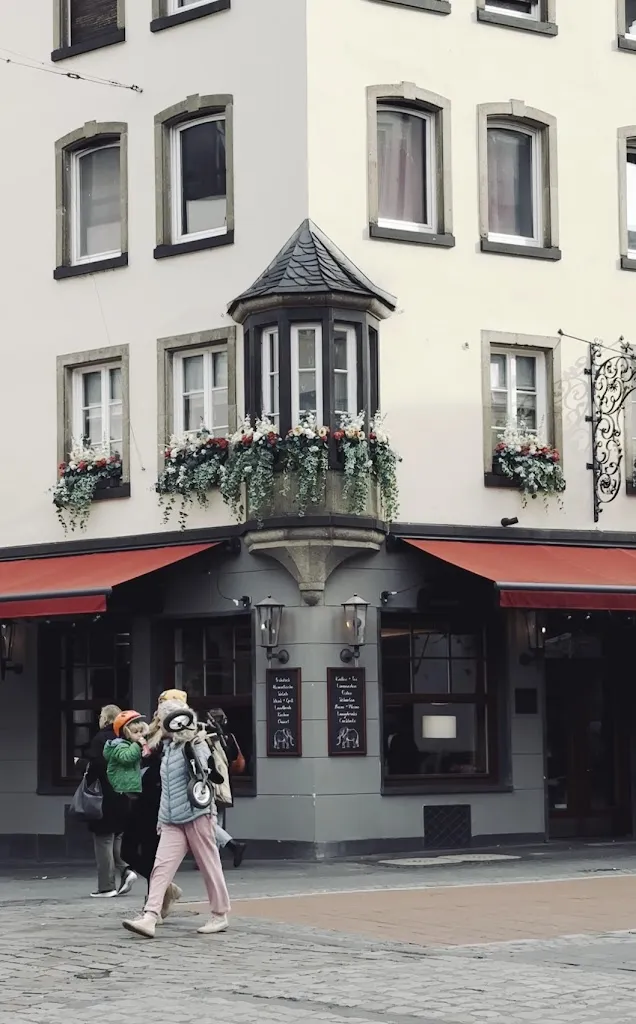 Elefant Bonn_Bonn_slider_image_2