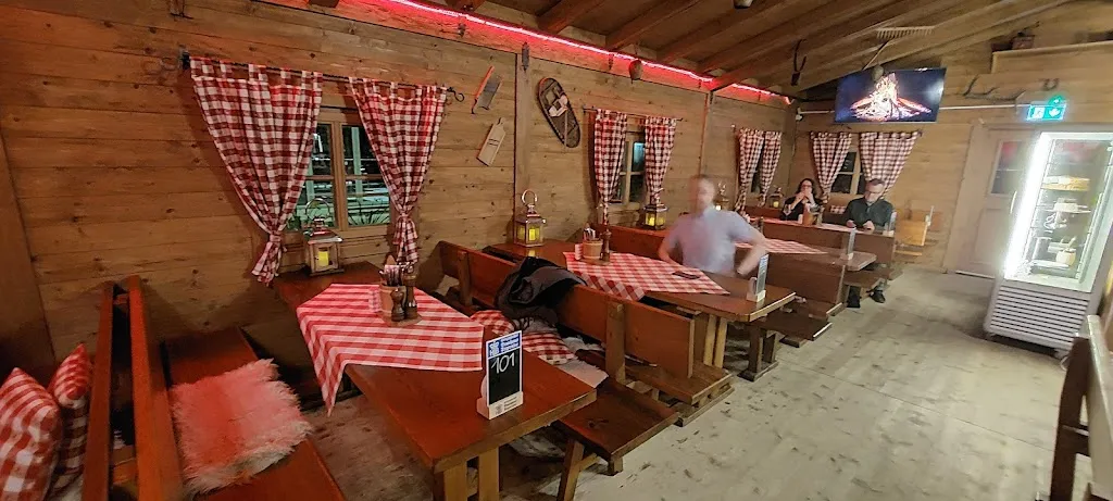 Stanislav Radzar_Rheinalm am Bonner Bogen_Bonn_review