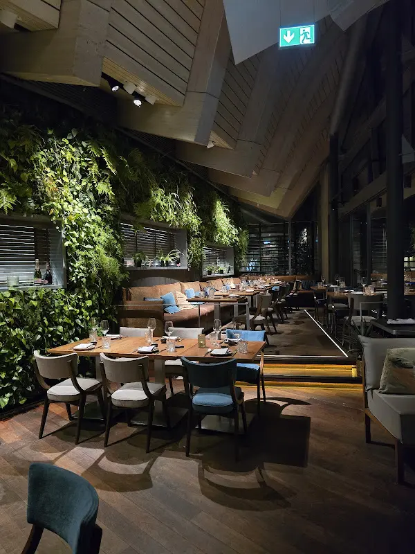 Hoang Phat Nguyen_coast by east Hamburg_Hamburg_review