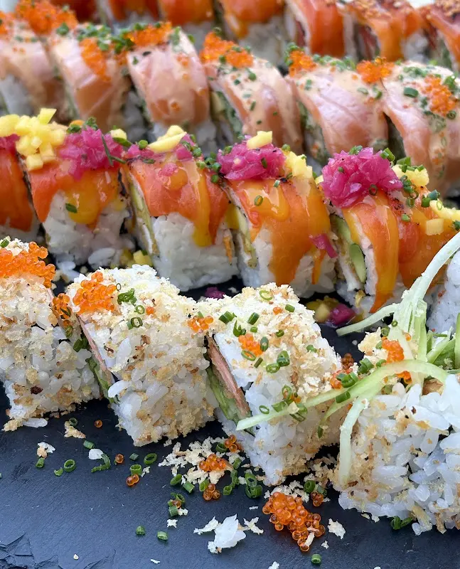 P. P._Reisprinzen Nord_Hamburg_review