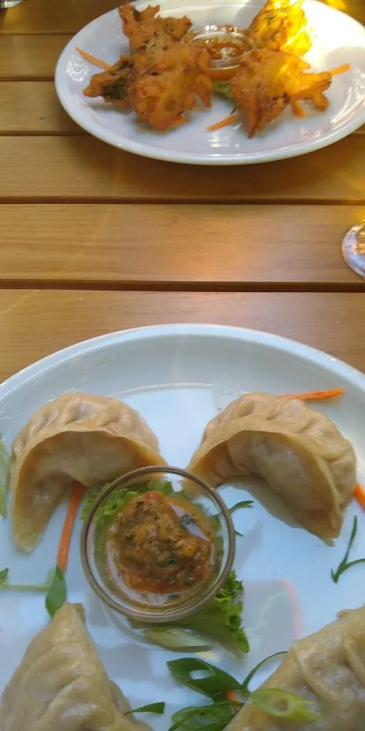 Menu_Himalayak Restaurant_Bonn_immagine_6