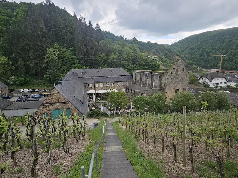 Weingut Kloster Marienthal_Dernau_slider_image_3