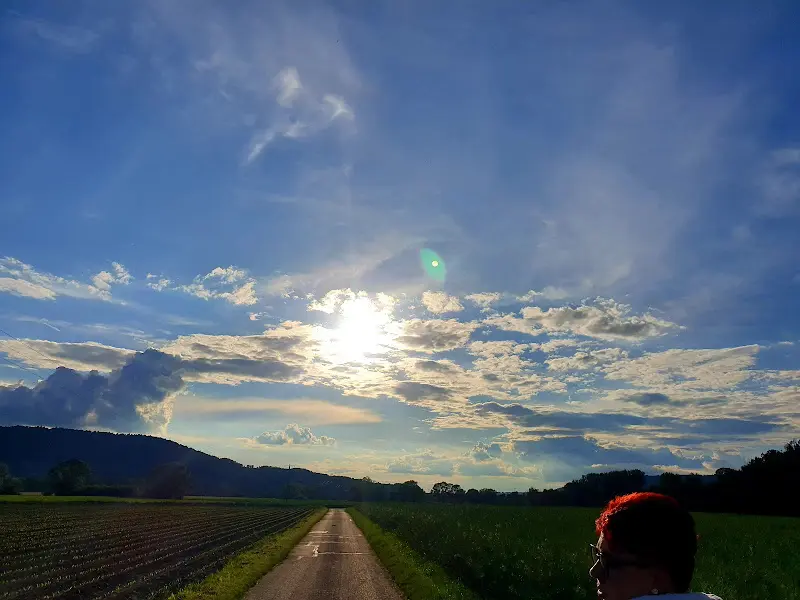 Silke Engelmohr_Alheimer Schlachtschiff - Christian Pahlke_Alheim_review